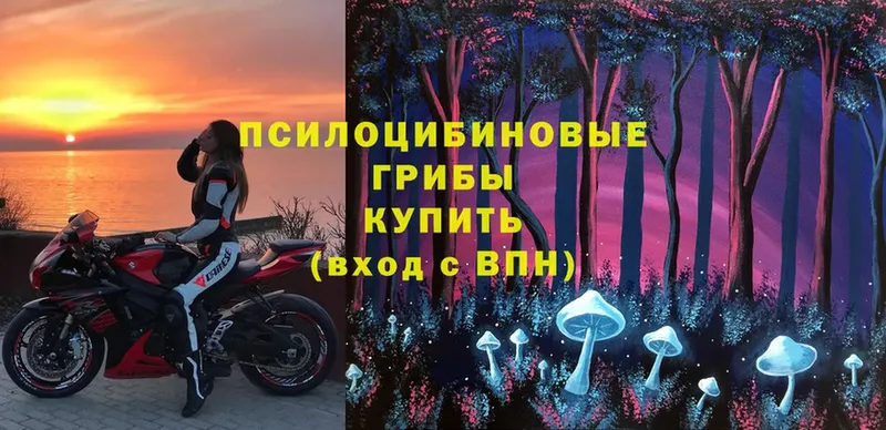 Галлюциногенные грибы Magic Shrooms  Пересвет 